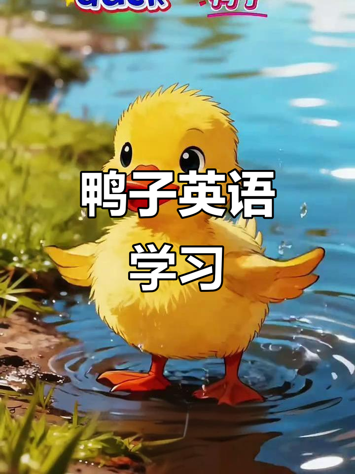 小鸭子的英语启蒙,学会这些句子让你更可爱