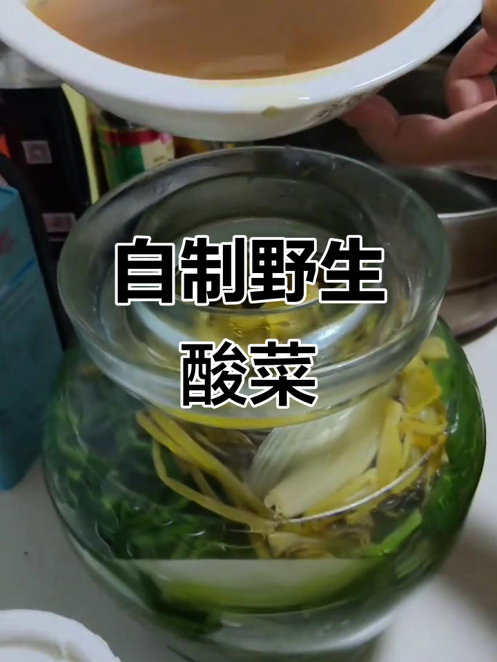 亲手挖野菜做酸菜,简单又香浓,比买的更美味!