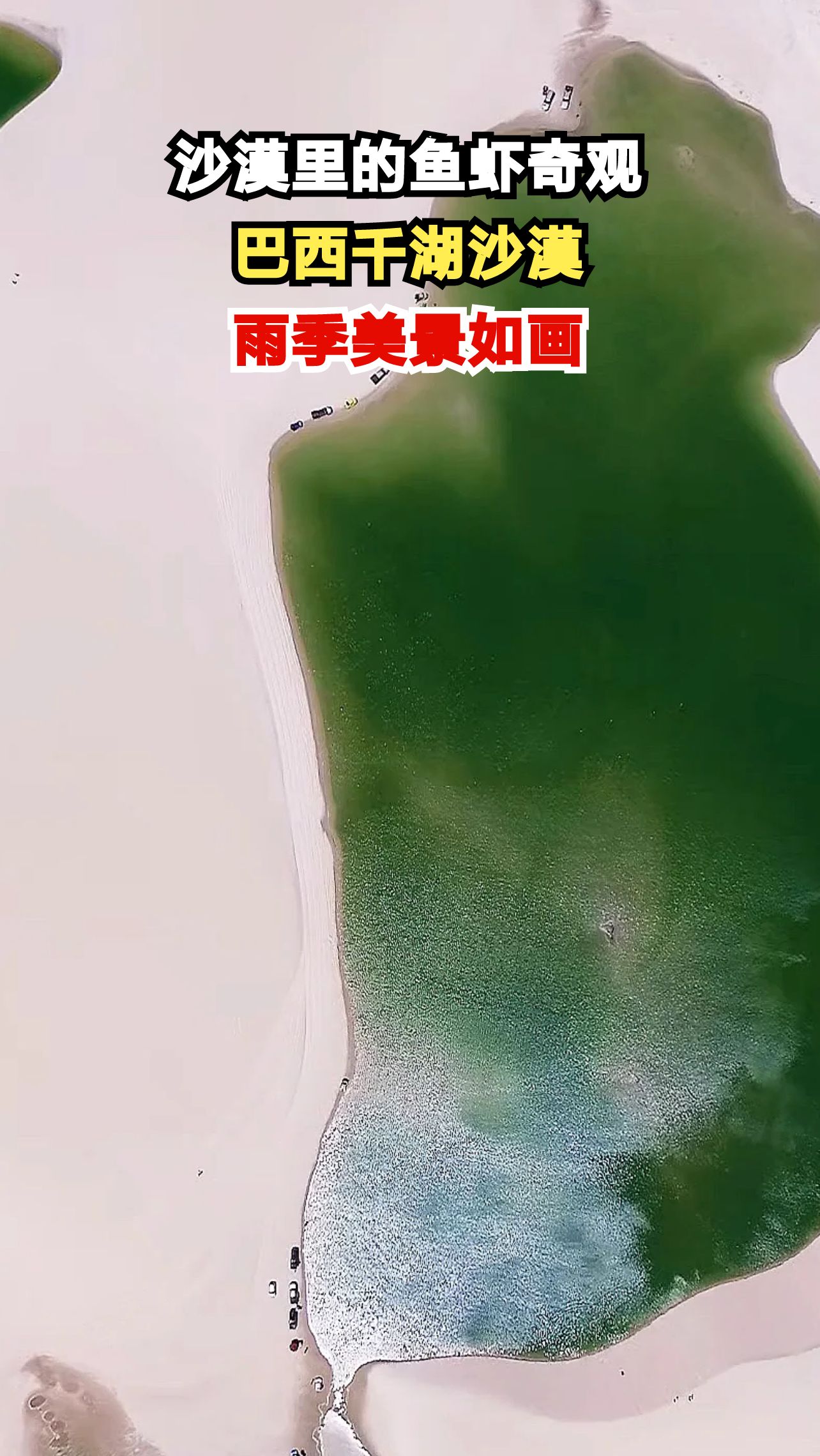 巴西千湖沙漠雨季鱼虾成群，白色沙丘与蓝色湖泊交织成奇幻仙境