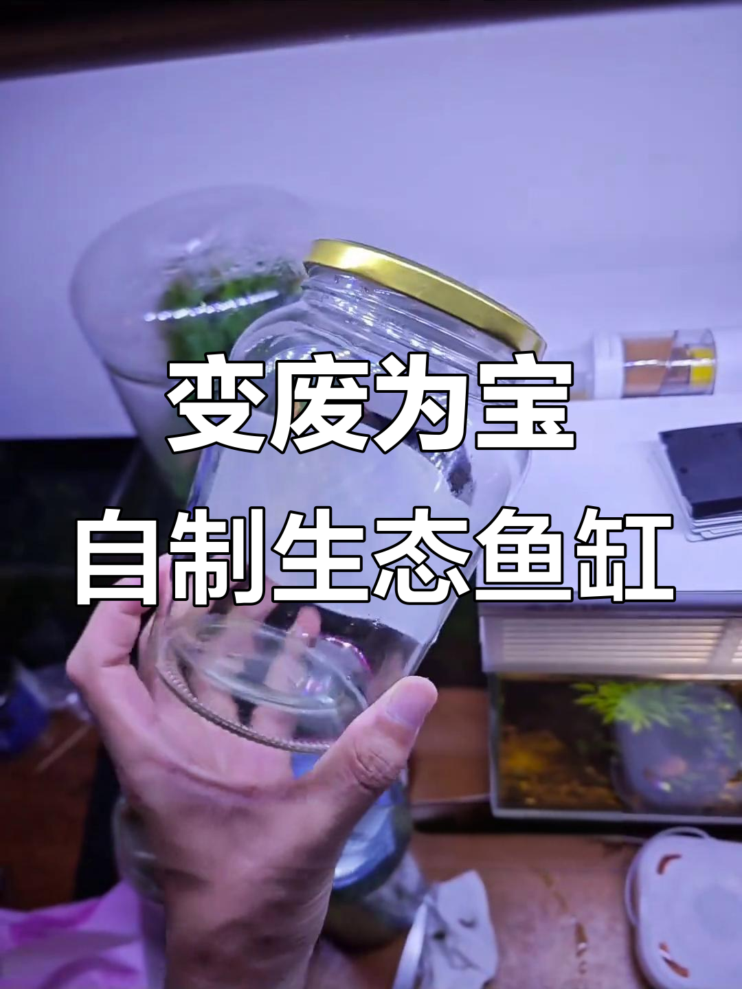 废玻璃罐头瓶变生态小鱼缸，简单步骤教你打造桌面水草园