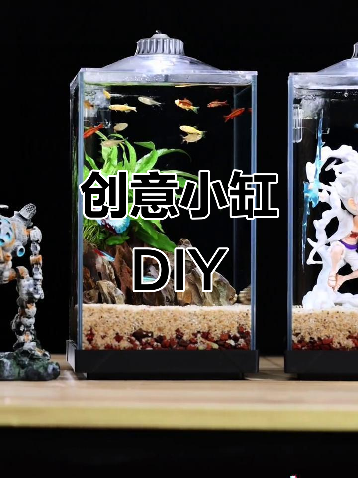 小缸DIY,淡水海水皆宜,沙石搭配创意无限!