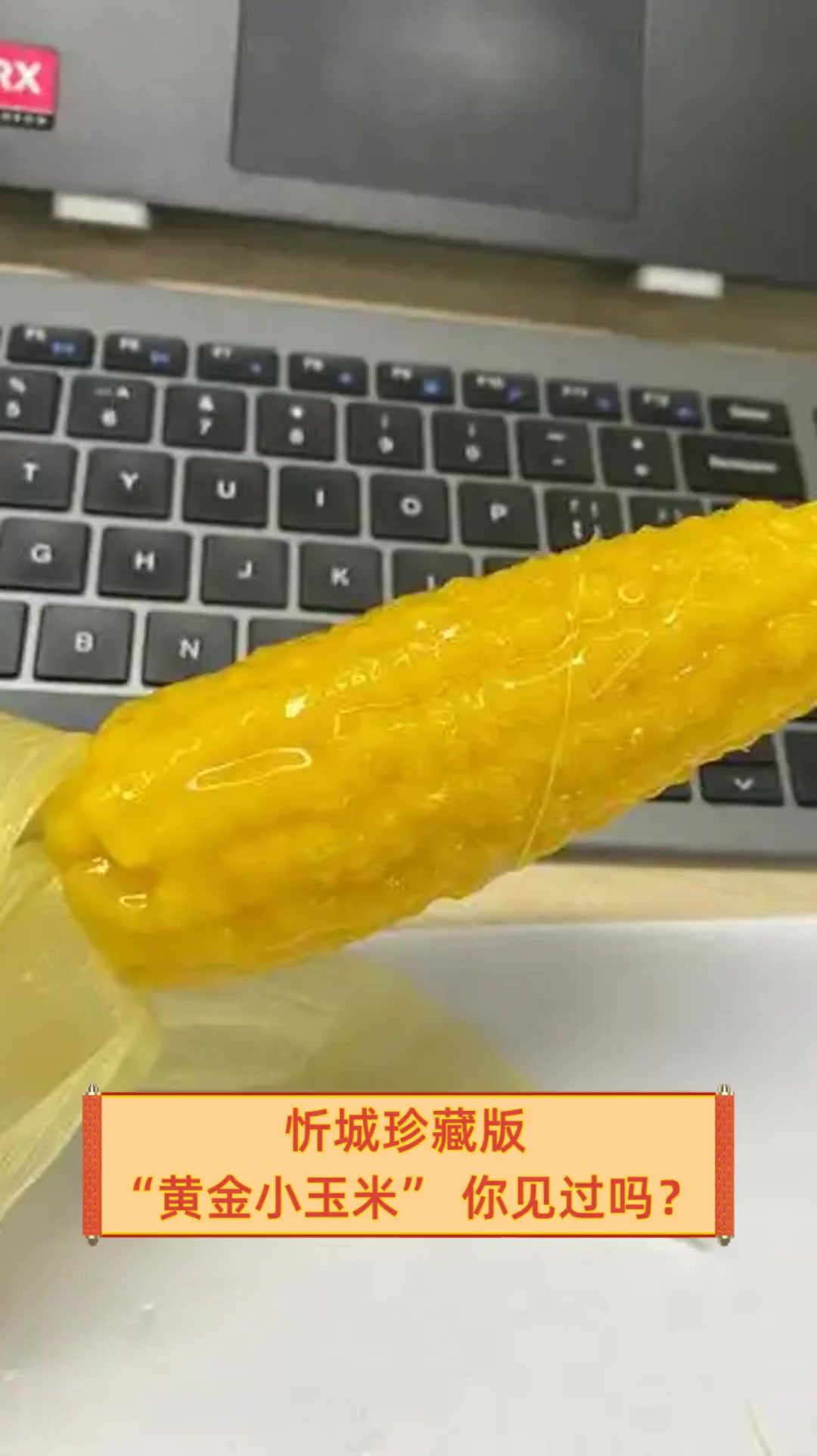 忻城珍藏版“黄金小玉米”,你见过吗?