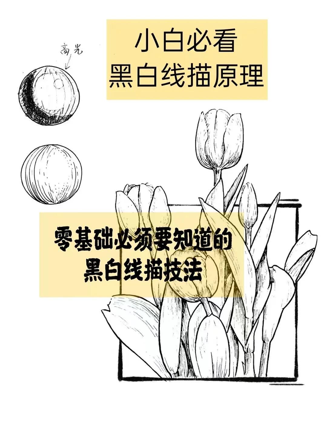 「黑白线描原理」小白必须要知道的线描技法