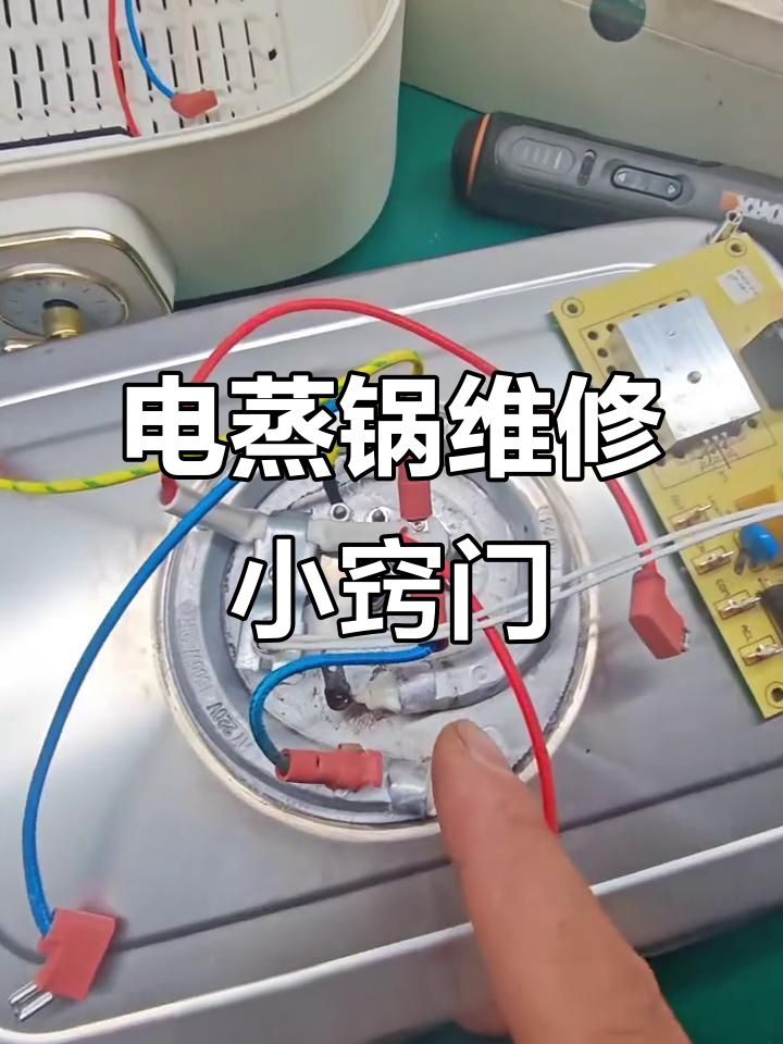 电蒸锅常见故障维修技巧,轻松解决不通电、加热慢等问题