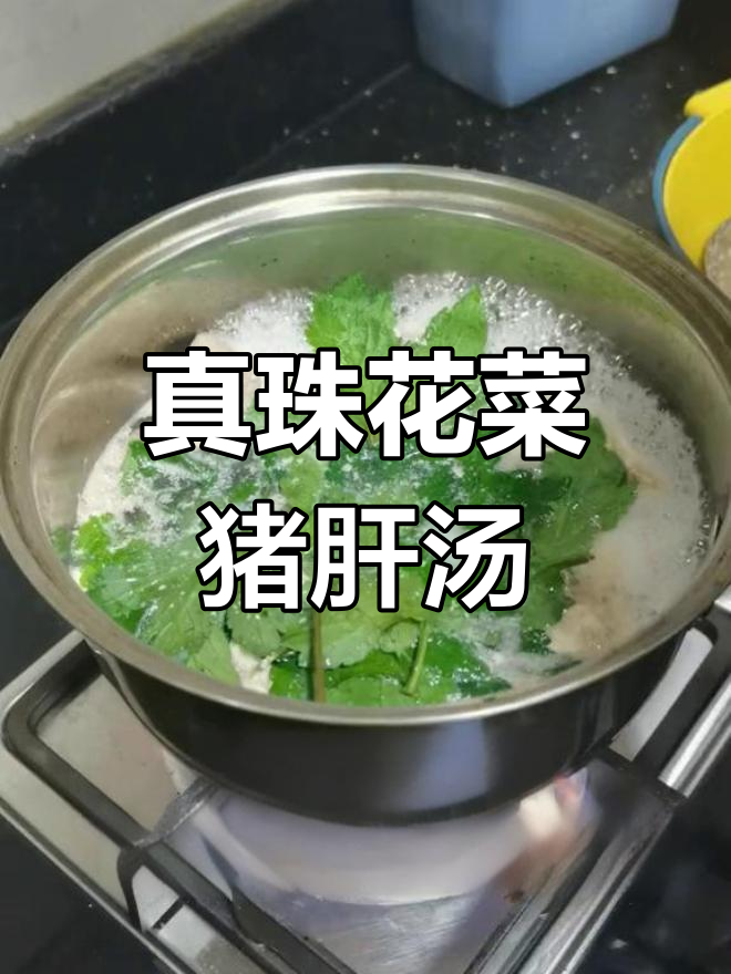 西天山猪肝汤的奇妙之旅