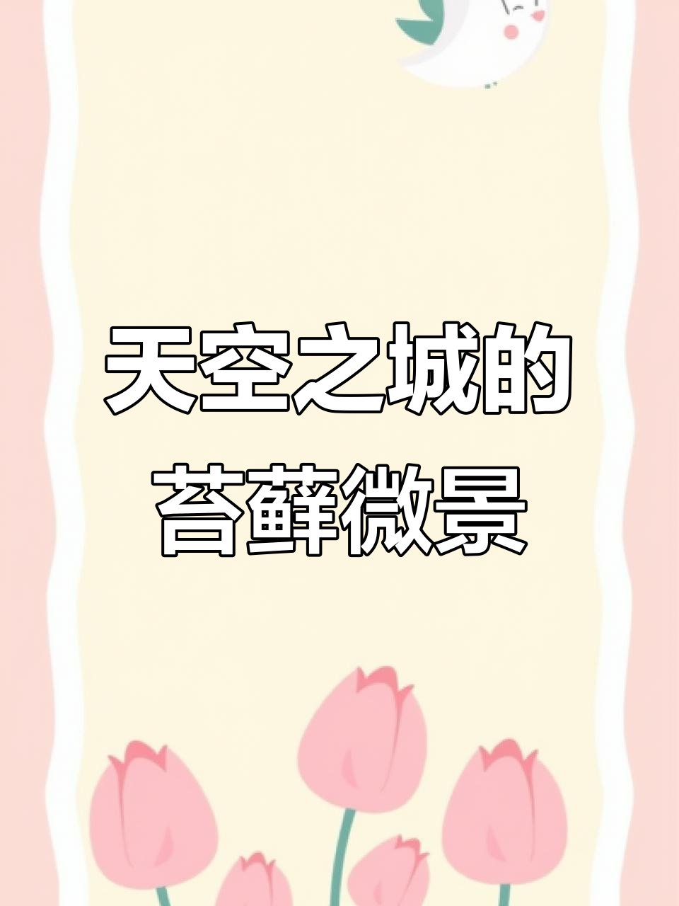 打造天空之城微景观，火山石、苔藓与蝴蝶的完美结合