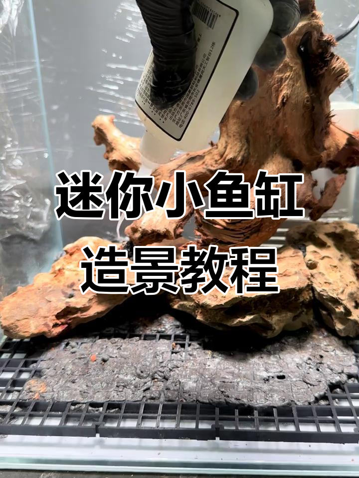 小鱼缸造景全流程,打造自然溪流风格