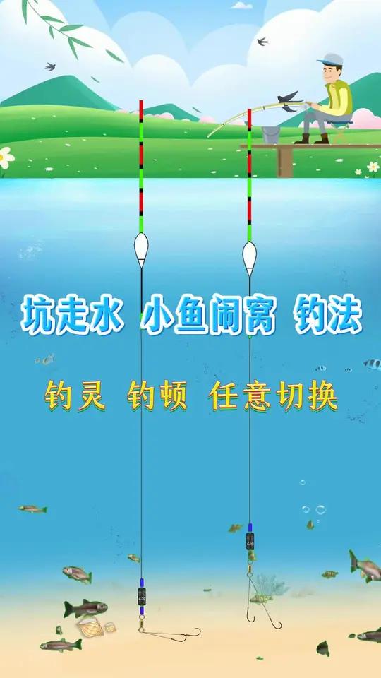 新手学调漂,万能调漂方法,抗走水,小鱼闹窝,钓顿钓灵任意切换