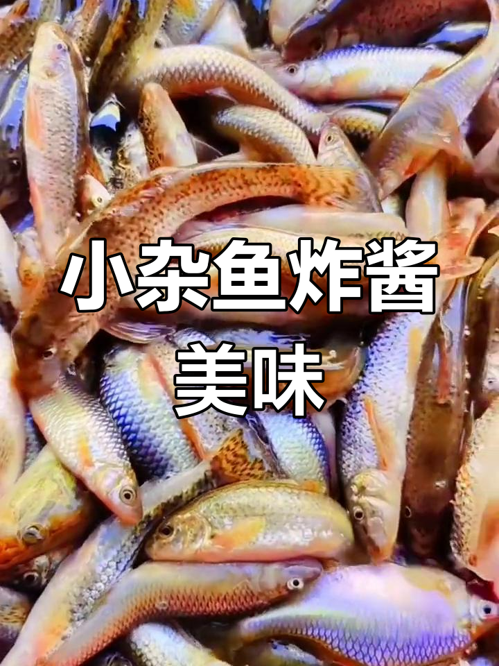 东北冷水河小杂鱼,炸酱姜梅搭配大快朵颐