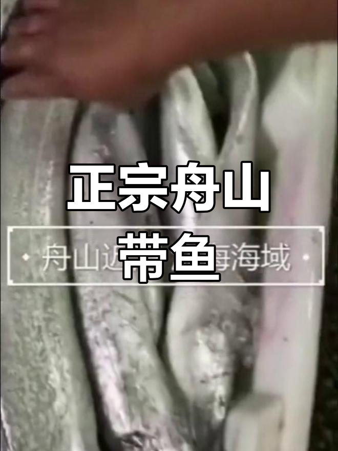 舟山深海带鱼,雷达网捕捞的秘密与美味