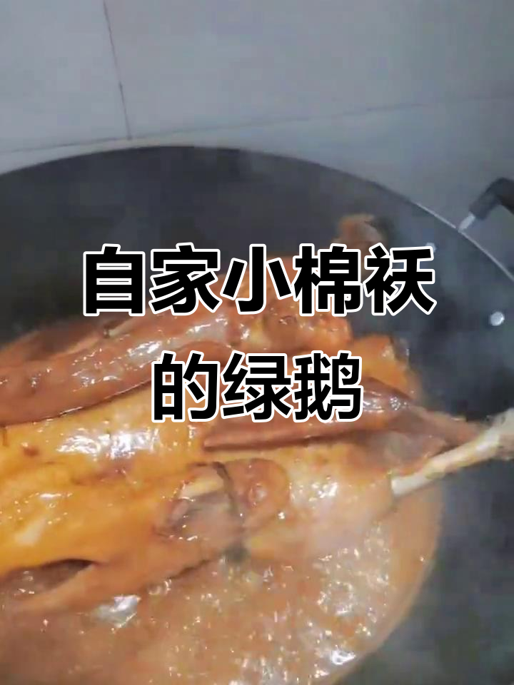 小棉袄亲手煮绿鹅,色香味俱全!