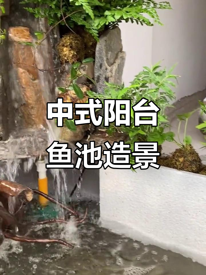 阳台鱼池打造中式庭院，假山、流水与植物的完美结合