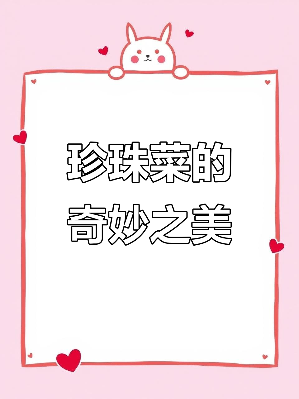 珍珠菜,珍稀本草,花蕾如珠,美丽又独特!