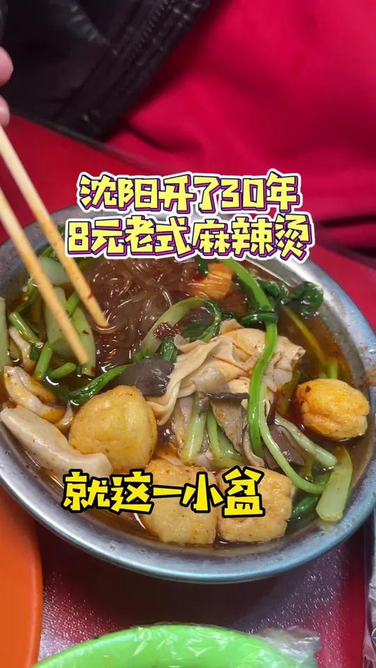 沈阳艳粉开了快30年的老式麻辣烫,8块一小铁盆够用吗