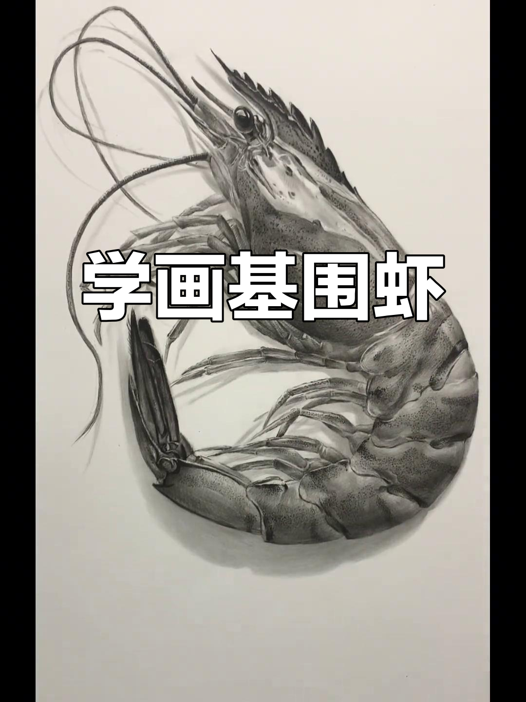 素描基围虾,细节刻画技巧大揭秘