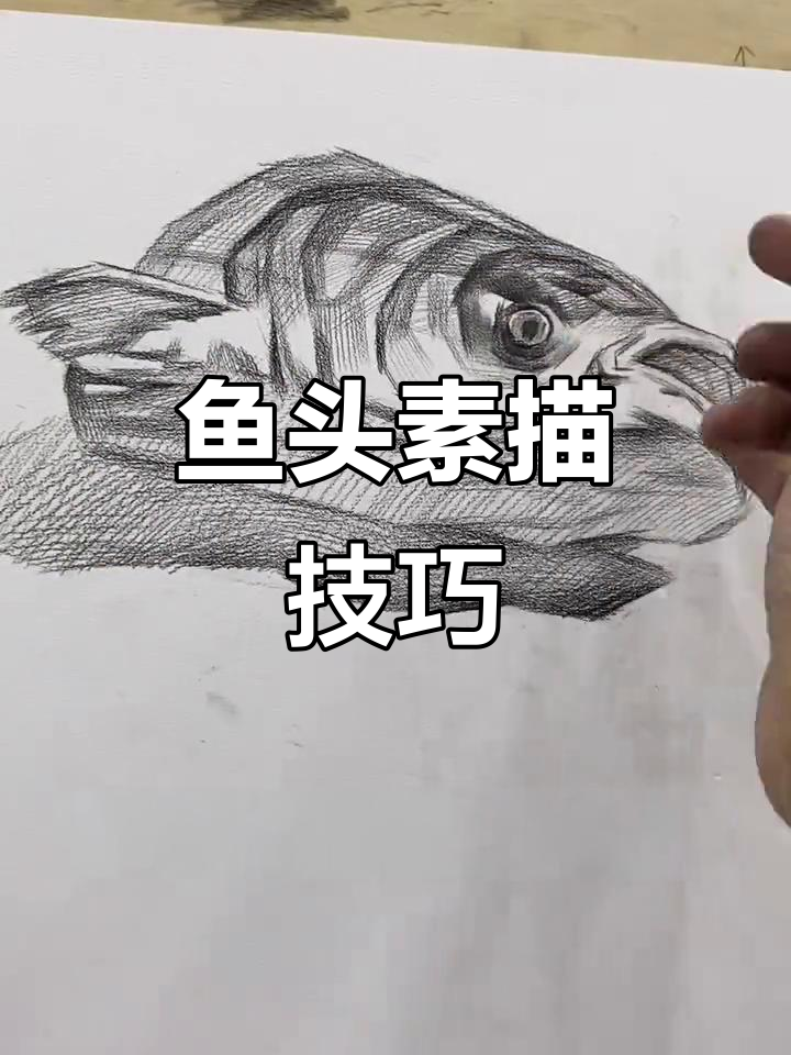 鱼头结构素描技巧解析,掌握揉擦法