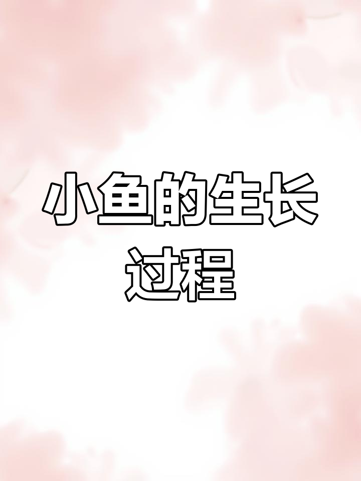 燕鱼成长日记:从卵到小鱼