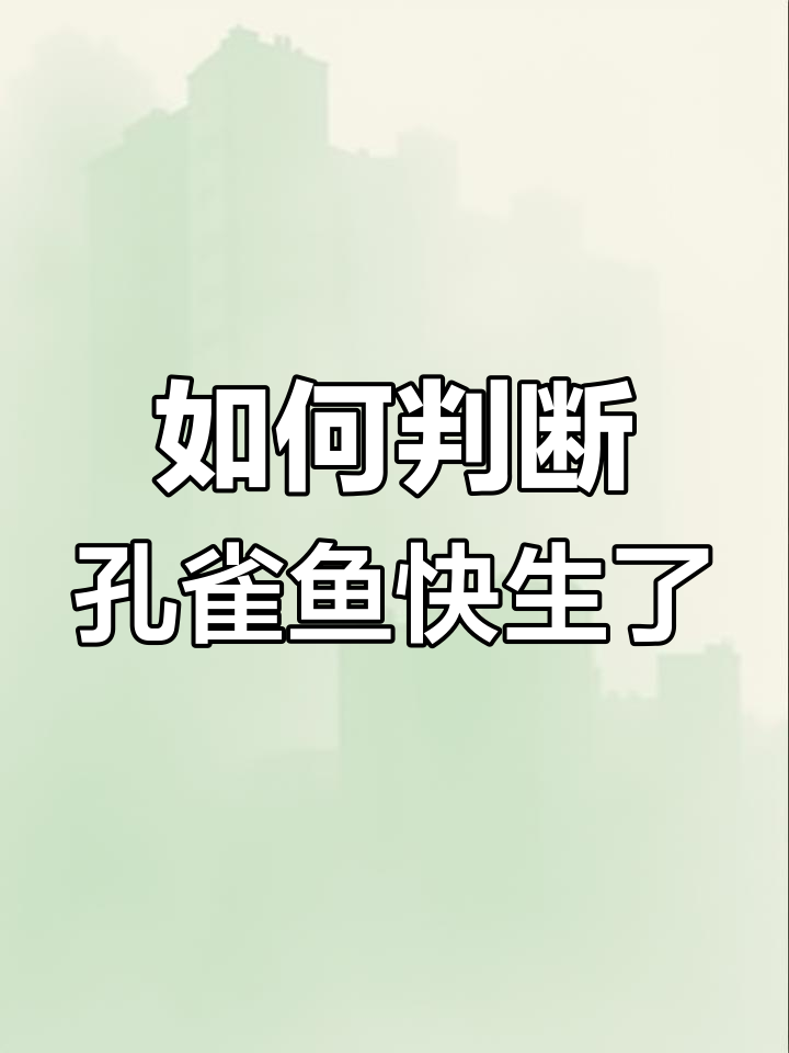 孔雀鱼待产征兆,三招判断是否要生宝宝