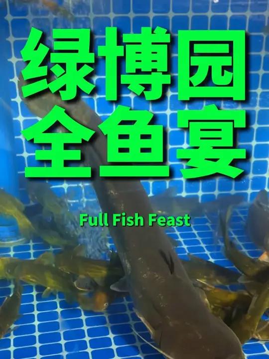 今天我们来绿博园吃一家罗甸全鱼宴!爱吃鱼的来他家也太幸福了!他家四川师傅做的其他家常菜和下