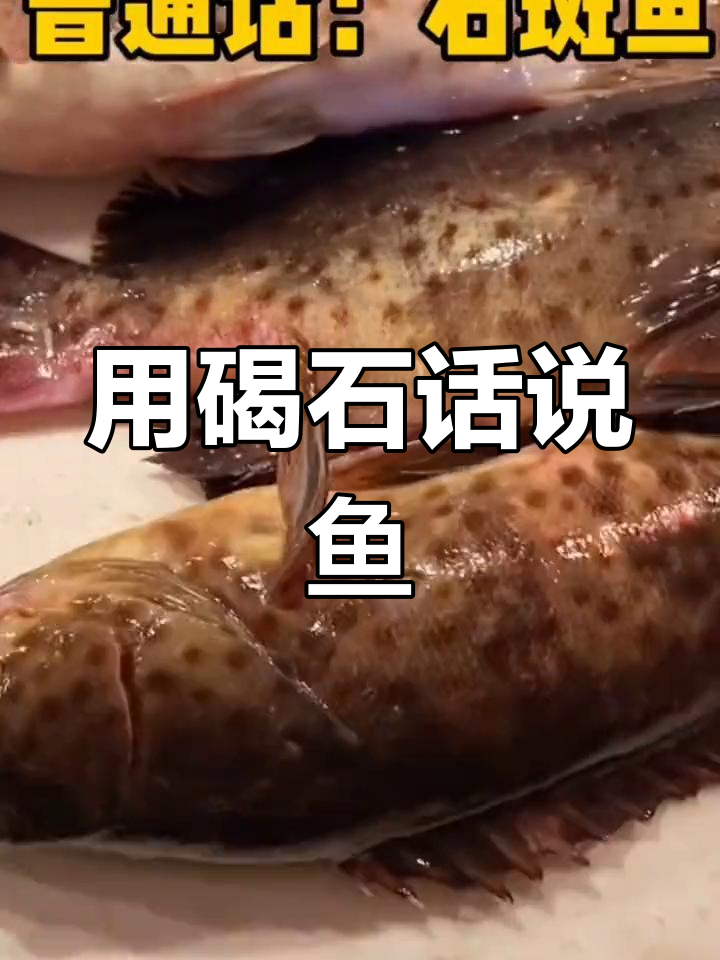 碣石话教你认鱼名