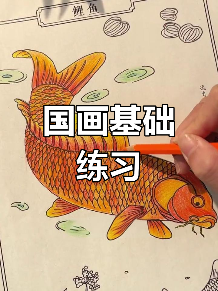 想要练好控笔?这款白描画适合孩子入门,国画必备