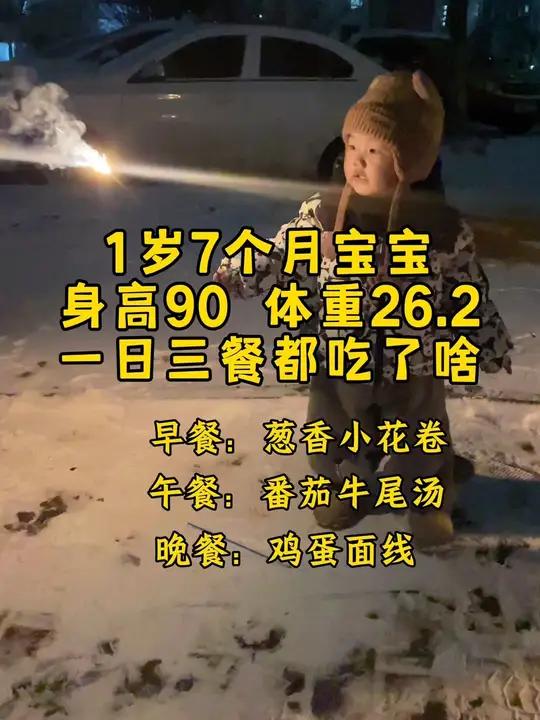 一岁7个月宝宝一日三餐都吃了啥?身高90,体重26.2,一天3顿饭2顿奶。早餐葱香小花卷,