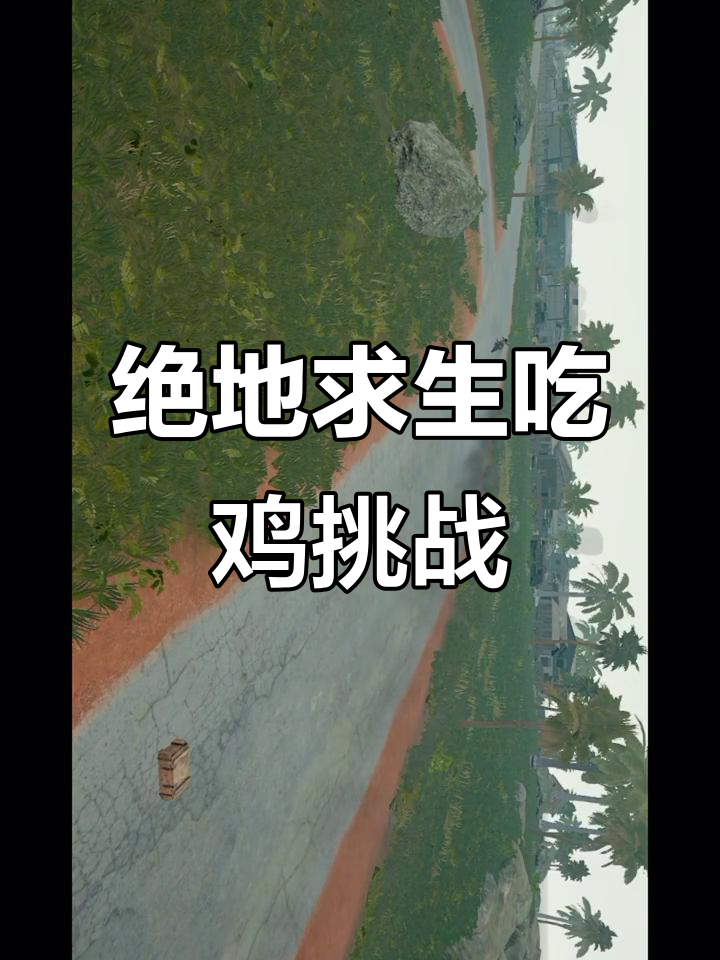 吃鸡大作战,谁能笑到最后?