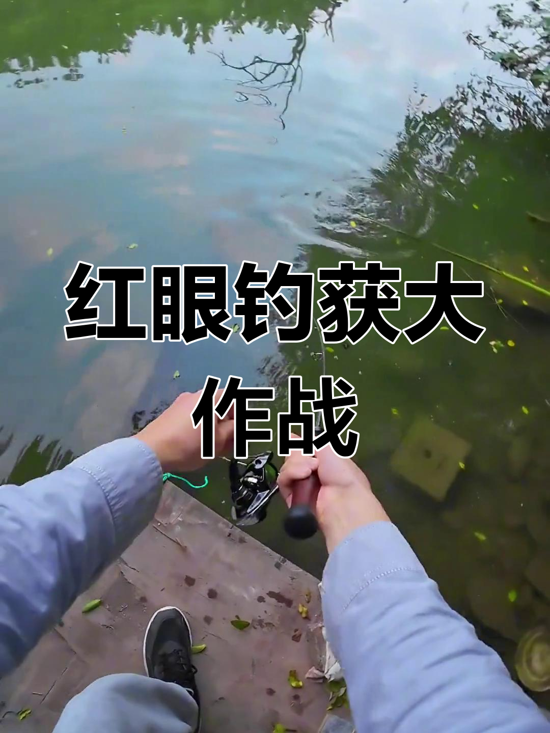 冬日阳光下的钓鱼挑战,红眼鳟鱼轻松捕获!