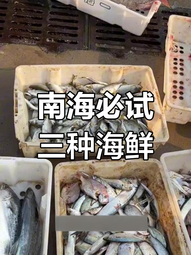 南海三大海鲜,花虾、马鲛鱼和带鱼的独特美味