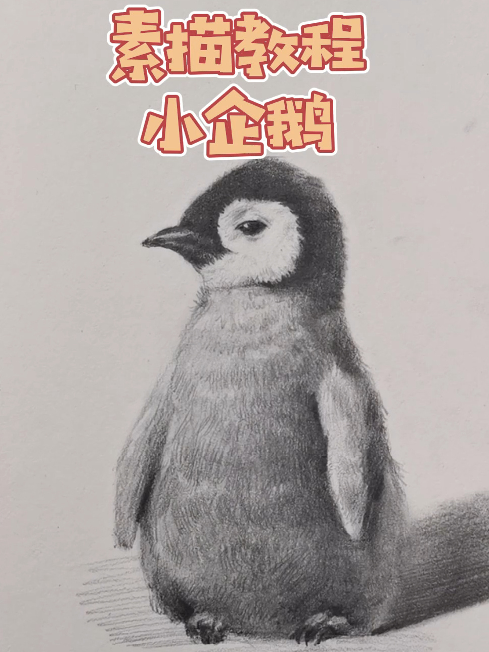 素描动物—小企鹅
