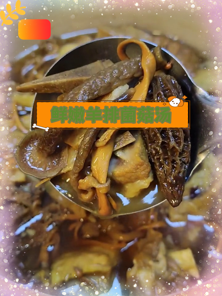 羊排与七彩菌菇,鲜美汤底完美搭配