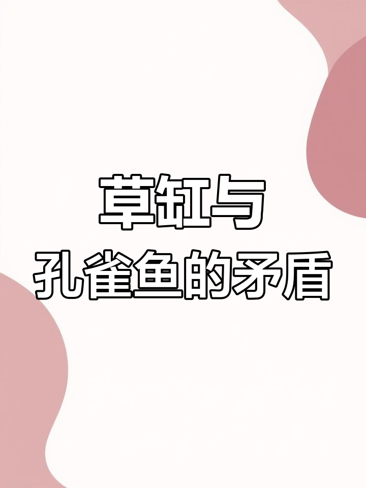 草缸养孔雀鱼?别急,听听原因!