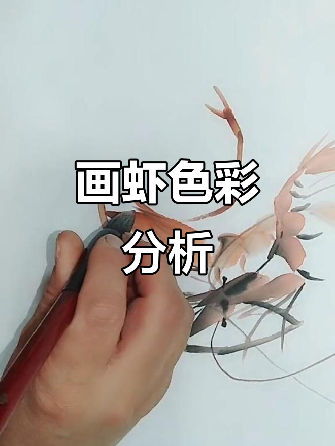 画虾颜色搭配，您觉得怎么样？