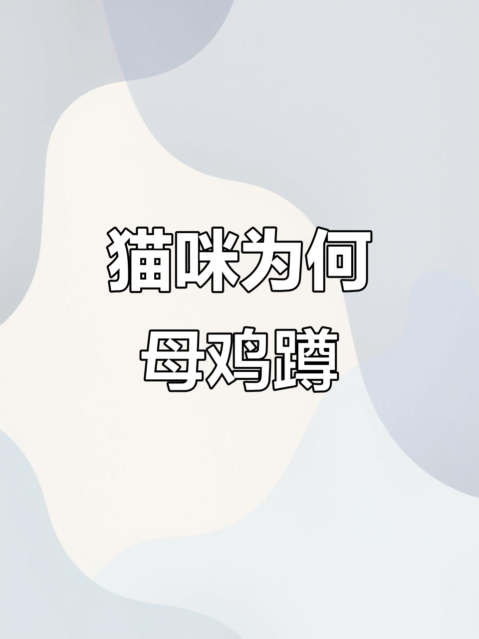 猫咪母鸡蹲的真正原因,竟然是为了这个!