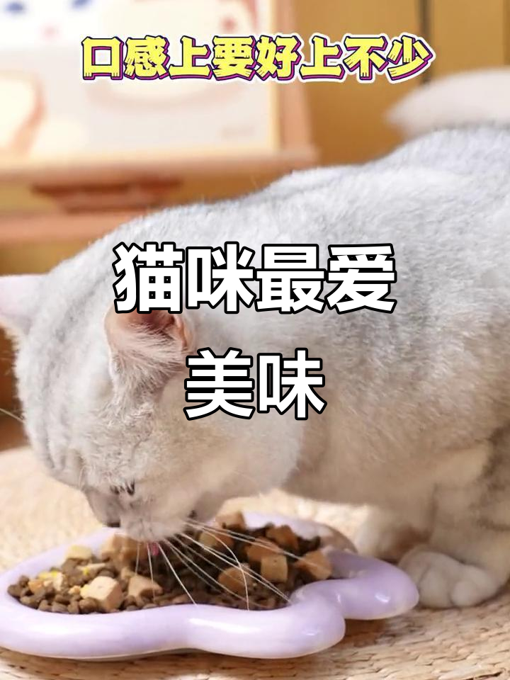 猫咪无法抗拒的美味,生骨肉与猫粮完美结合