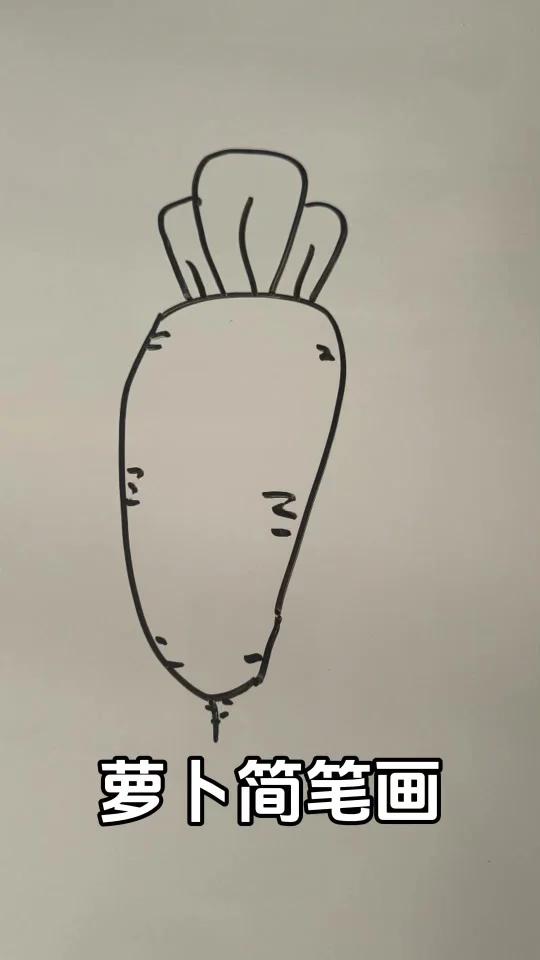 画画萝卜简笔画