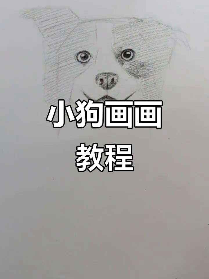 教你画可爱小狗狗,简单步骤轻松搞定
