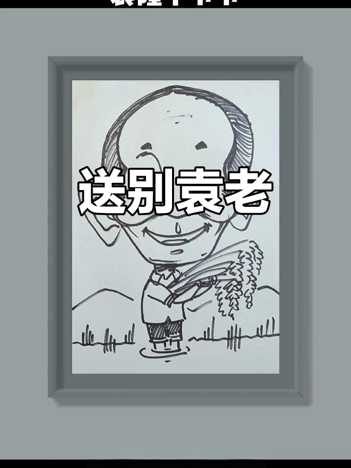 袁隆平院士安息长沙,梦中稻田成荫