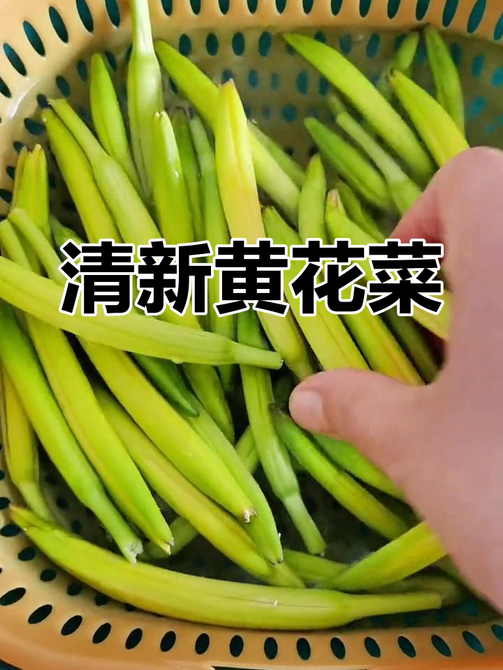 黄花菜简单清爽,解腻又健康,值得一试!