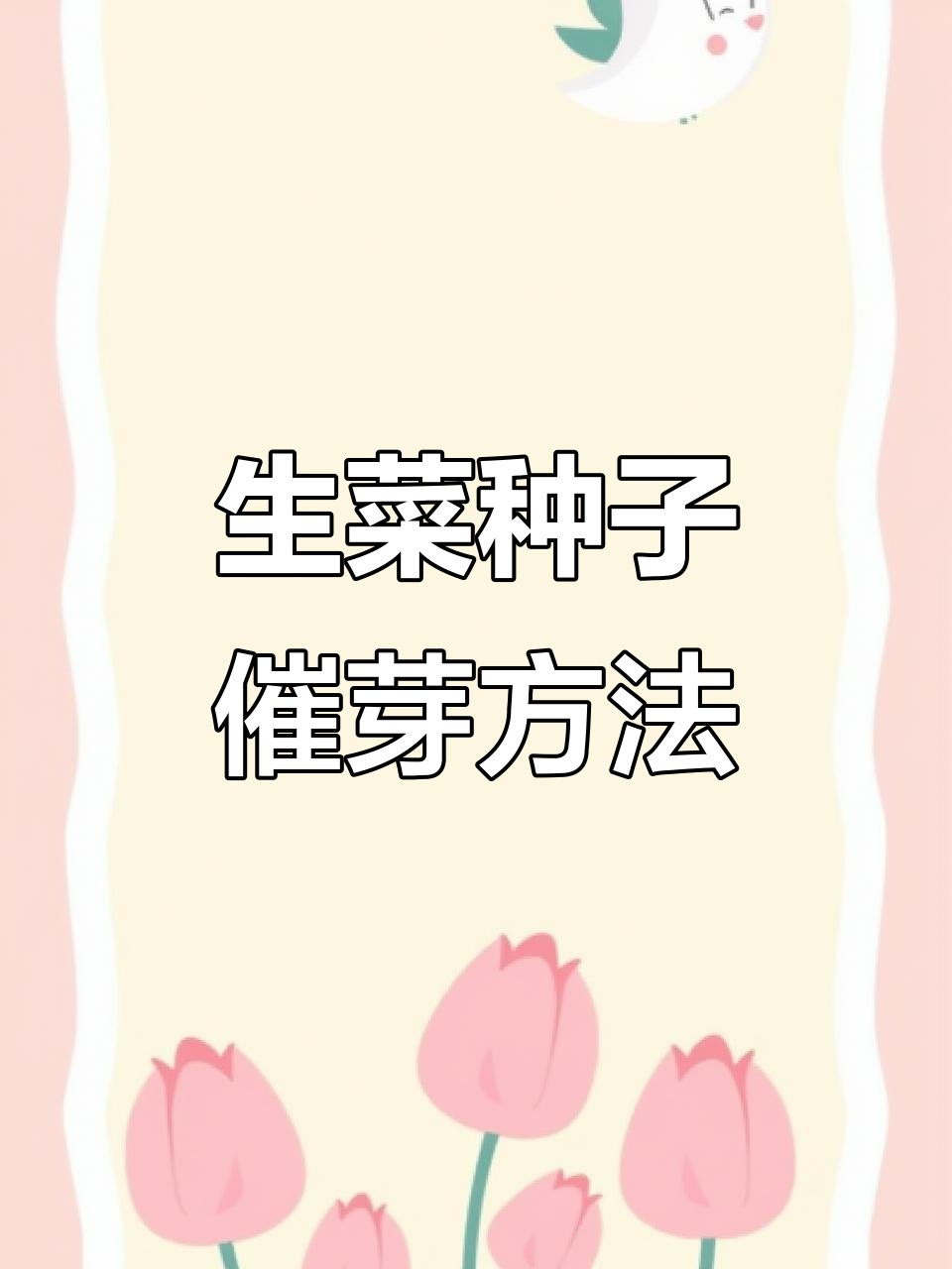 生菜种子如何催芽?低温处理技巧大公开
