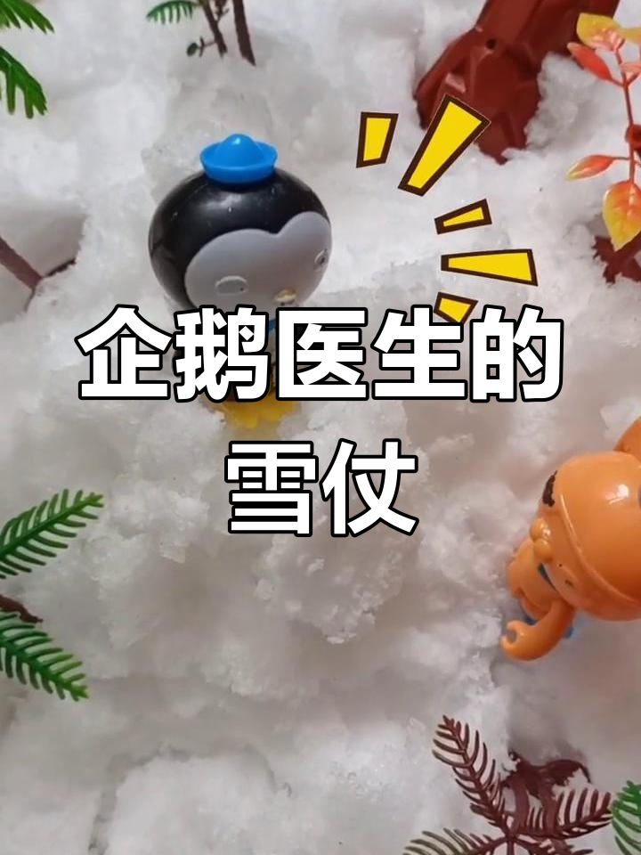 雪地探险:皮医生与伙伴们的冒险
