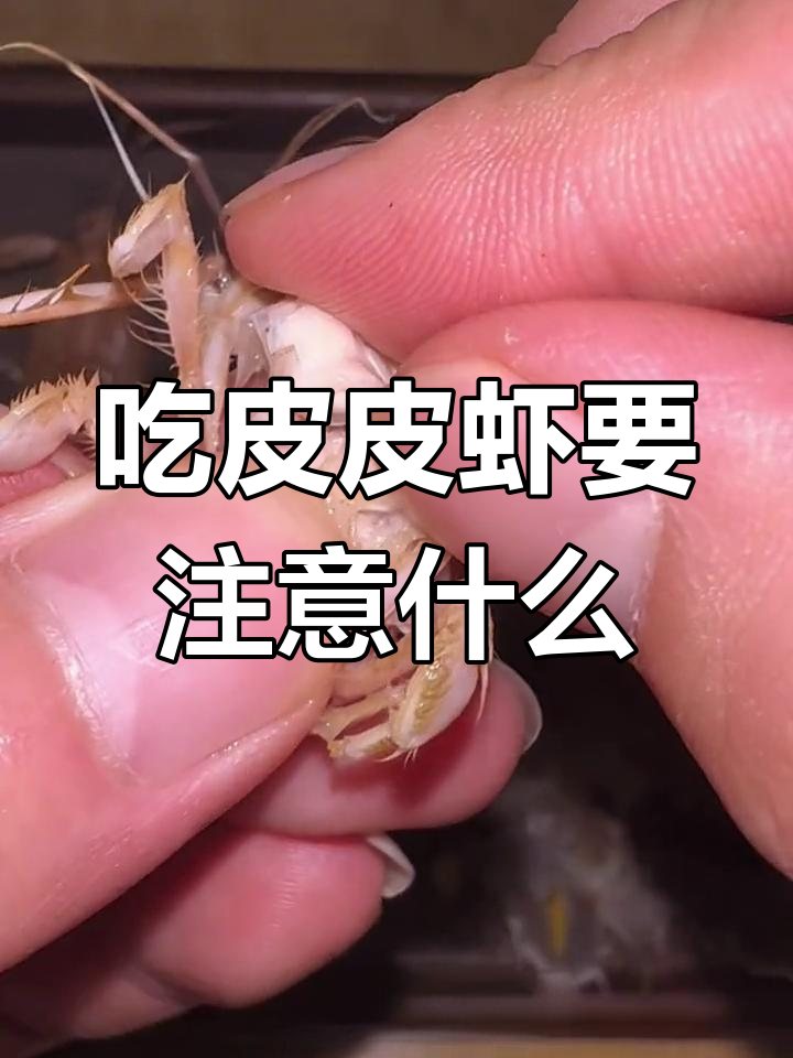 皮皮虾的食用禁忌,你了解吗?