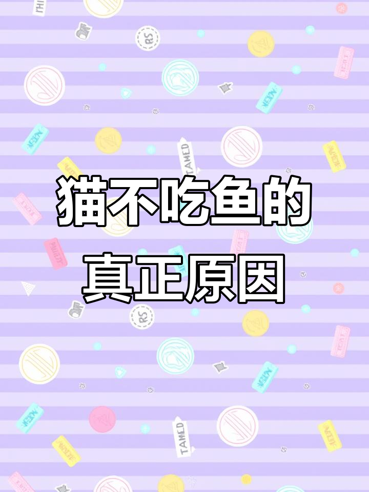 猫咪为何不爱吃鱼?了解背后的真相