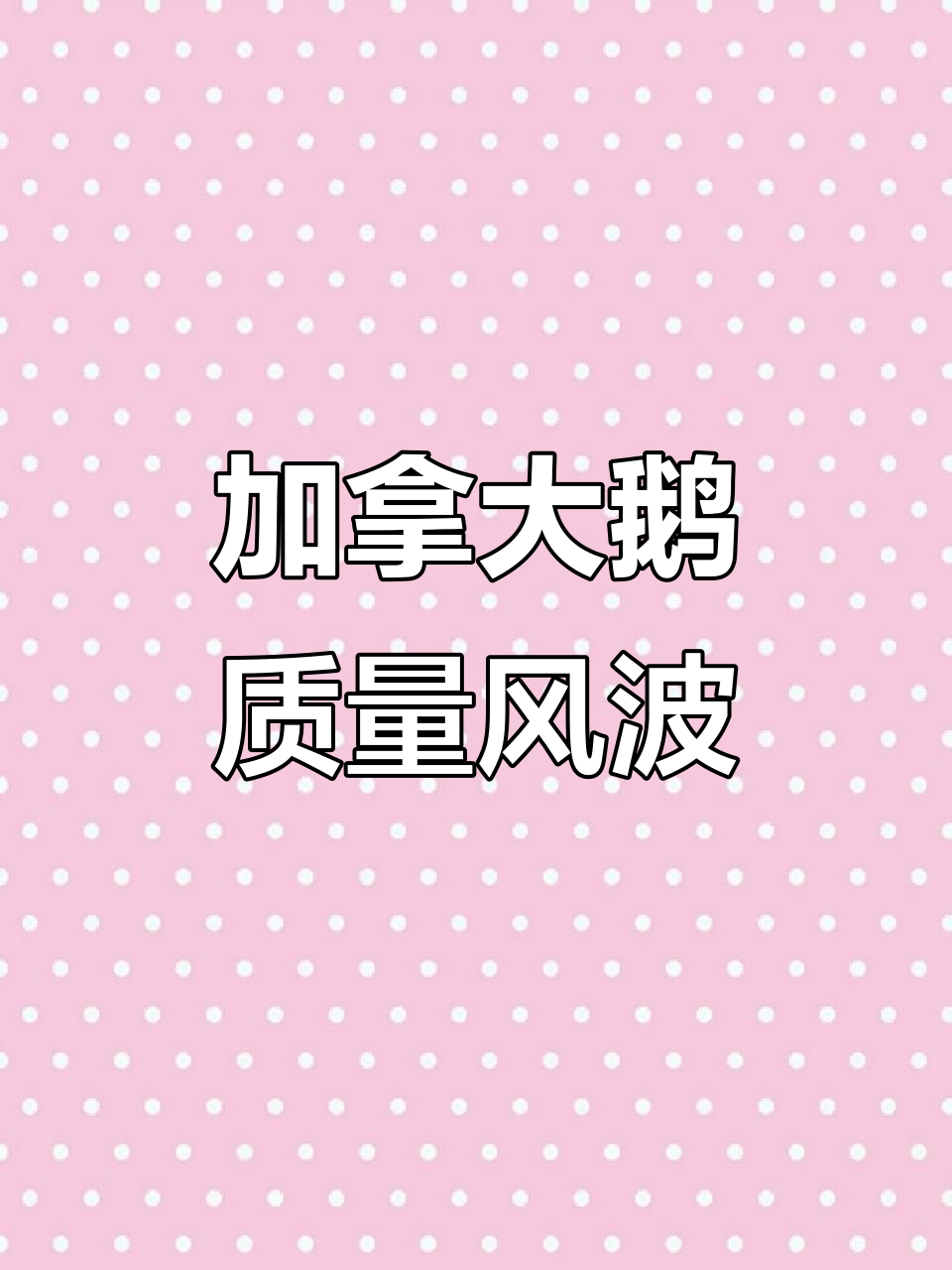 12月1日加拿大鹅羽绒服问题频发,上海消保委介入