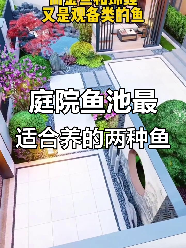 庭院鱼池适合养金鱼和锦鲤,其他鱼类不适合