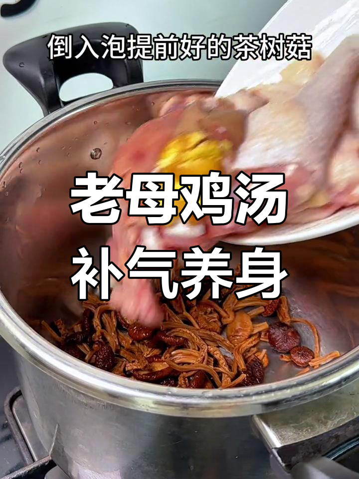 每天一碗老母鸡茶树菇汤,滋补又美味