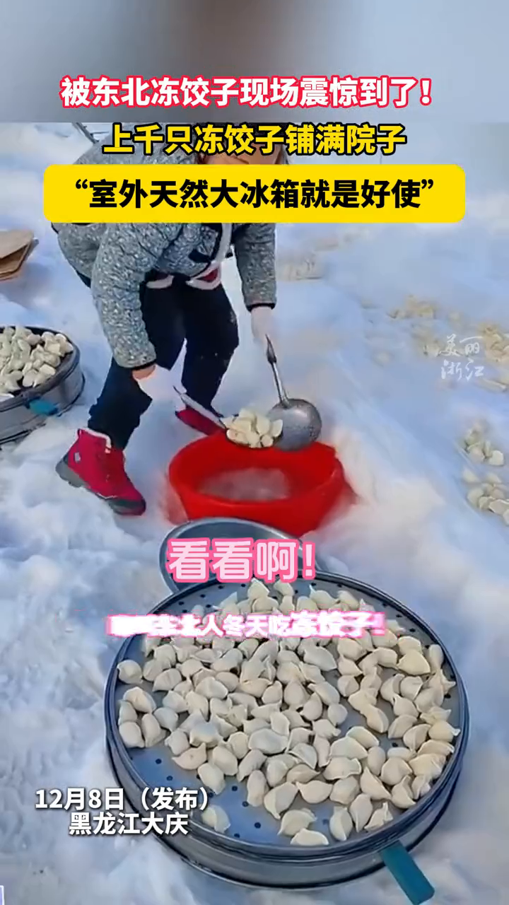 南方人被东北冻饺子现场震撼到了!东北室外大冰箱就是好使
