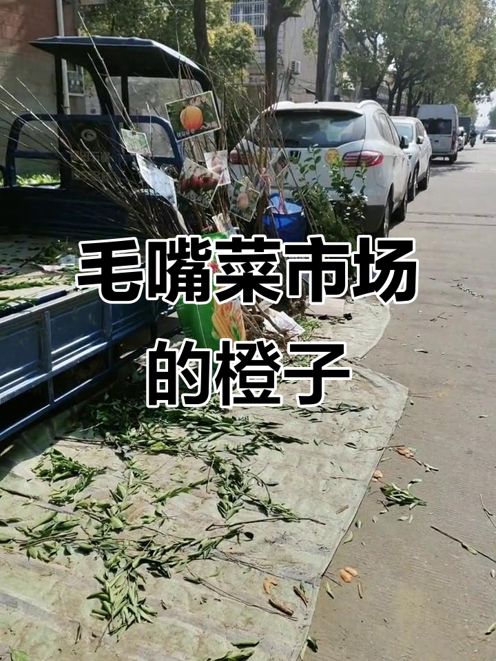 毛嘴菜市场实拍,新鲜水果等你来挑