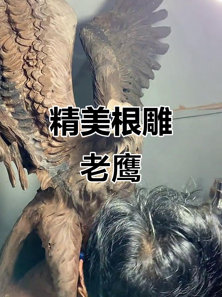 根雕老鹰工艺品,展现木雕艺术魅力
