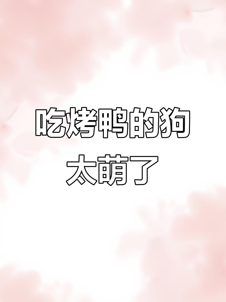 狗狗吃烤鸭，萌态十足，表情超可爱